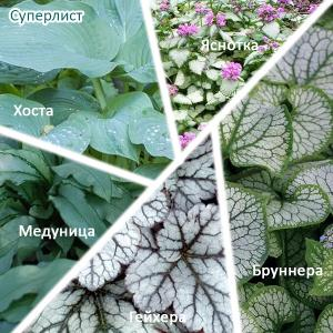 Набор "Суперлист"